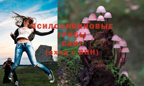 mix Пестово