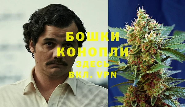 Альфа ПВП Пересвет