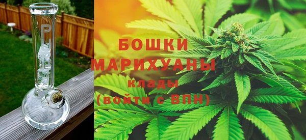 Альфа ПВП Пересвет