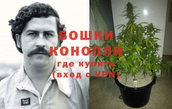 Альфа ПВП Пересвет